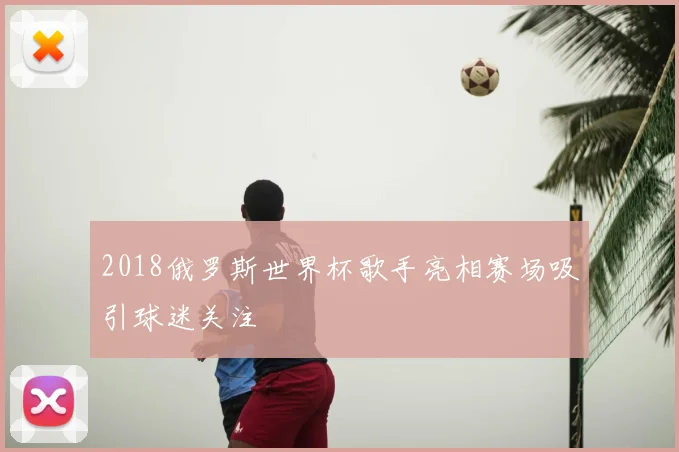 2018俄罗斯世界杯歌手亮相赛场吸引球迷关注