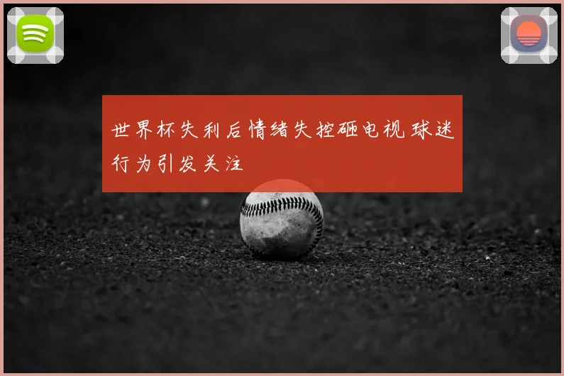 世界杯失利后情绪失控砸电视 球迷行为引发关注